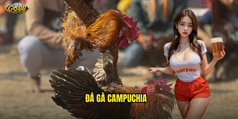 đá gà campuchia