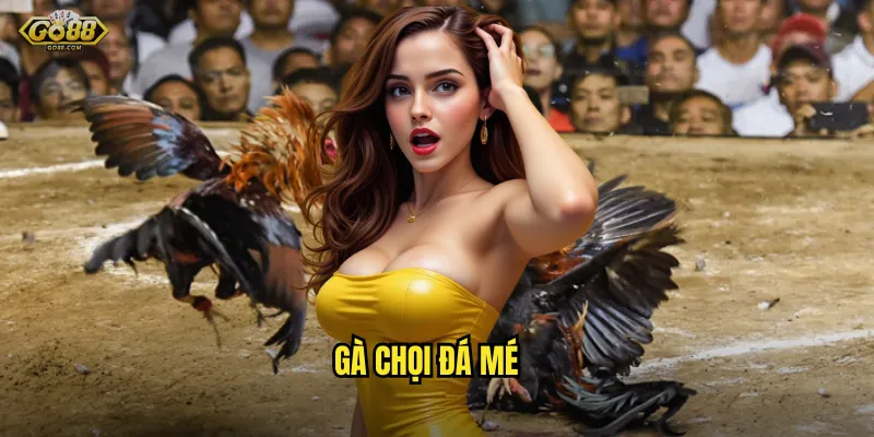 Gà chọi đá mé