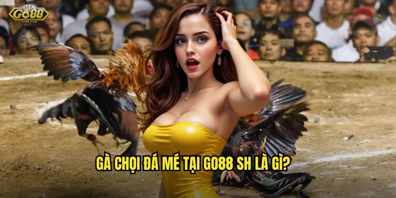 Gà chọi đá mé tại go88 sh là gì?