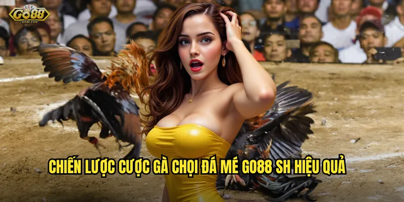 Chiến lược cược gà chọi đá mé go88 sh hiệu quả
