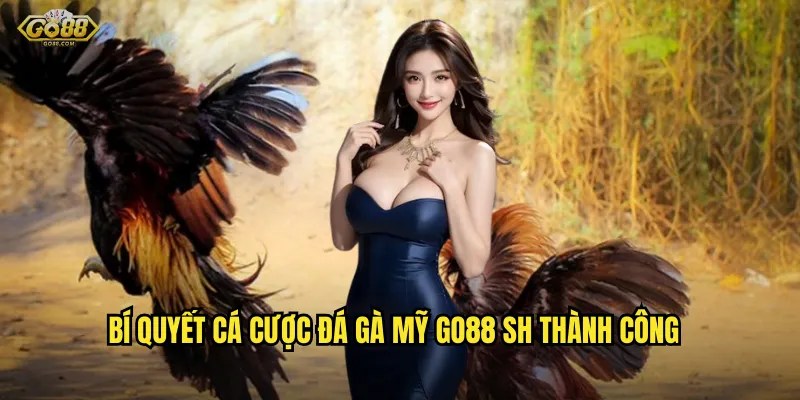 Bí quyết cá cược đá gà Mỹ go88 sh thành công