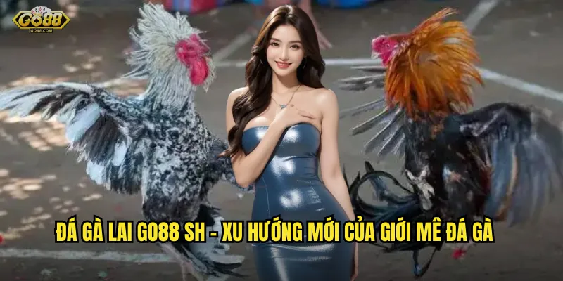 Đá gà lai go88 sh - Xu hướng mới của giới mê đá gà