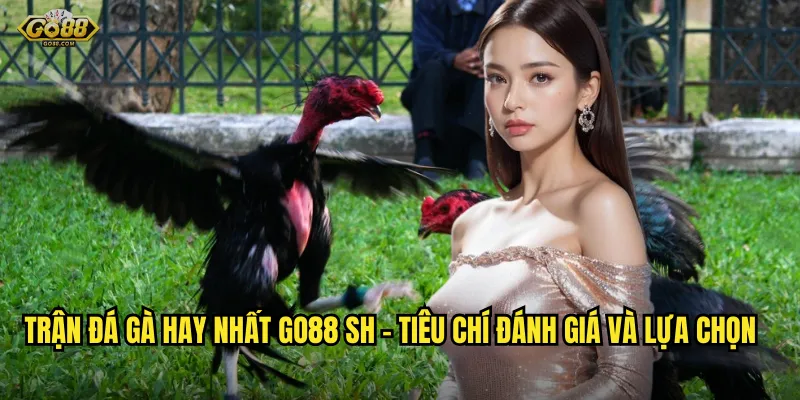 Trận đá gà hay nhất go88 sh - Tiêu chí đánh giá và lựa chọn
