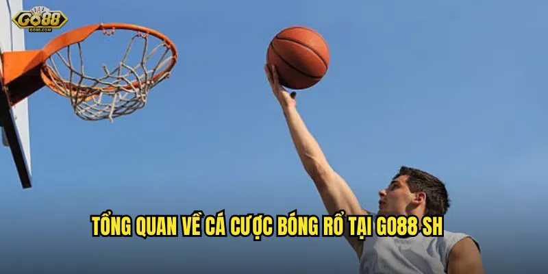 Tổng quan về cá cược bóng rổ tại go88 sh