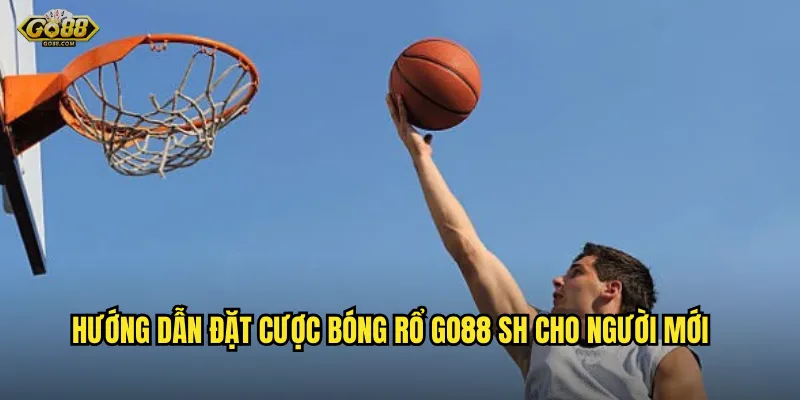 Hướng dẫn đặt cược bóng rổ go88 sh cho người mới