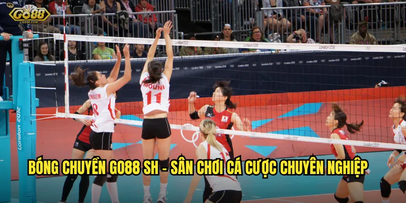 Bóng chuyền go88 sh - Sân chơi cá cược chuyên nghiệp