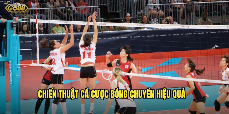 Chiến thuật cá cược bóng chuyền hiệu quả