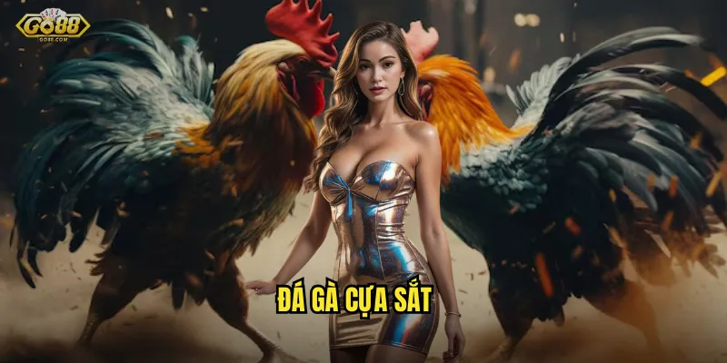 đá gà cựa sắt