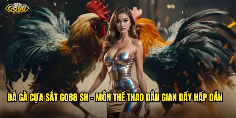 Đá gà cựa sắt go88 sh - Môn thể thao dân gian đầy hấp dẫn