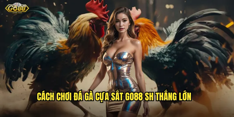 Cách chơi đá gà cựa sắt go88 sh thắng lớn